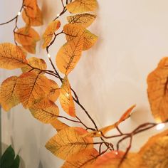 some yellow leaves are hanging on the wall next to a potted plant with lights