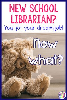 a teddy bear with the words new school librarian? you got your dream job now what?