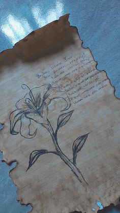 an old piece of paper with a flower drawn on it