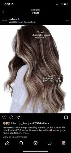 Redken Shade, Brunette With Blonde Highlights, Dimensional Brunette, Redken Hair Color, Mom Beauty, Color Formulas, Diy Beer, Redken Hair Products, Bronde Hair