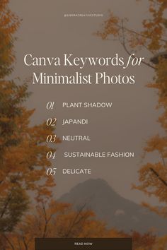 the words canva keywords for minimalist photos in front of trees with yellow leaves