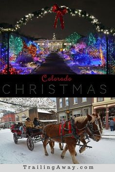 a horse drawn carriage in front of a christmas light display with the words colorado christmas