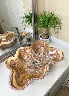 a bathroom sink sitting on top of a white counter next to a potted plant