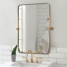 a bathroom sink with a mirror above it and a potted plant on the counter