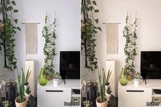 two pictures side by side with plants in vases and on the wall next to tv