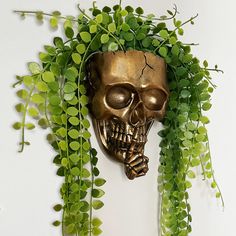 a gold skull head with green leaves around it on a white wall next to a plant