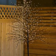 a lighted tree in front of a wooden fence with lights on it's branches