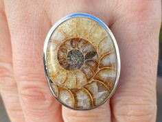 A natural Madagascan Ammonite set in 925 sterling silver. To ensure that the design and workmanship of our rings matches the quality of our stones, we have used a thick gauge of silver when setting the stone, the shank is gently tapered for comfort. Stone:          Ammonite Stone size:  23x30mm Ring size:     M 1/2 , 6.75 (US) Material:      925 Sterling Silver We personally select each and every stone that we use, if we can't find the right quality at the right price we simply do not make it, there are no halfway measures - stone quality is paramount to us, and we are generous with the gauge of silver used in the setting - our jewellery is made to last. Fossil Ring, Madagascar, Natural Brown, Fossil, Rings Statement, Statement Rings, Favorite Jewelry, Ring Size, Jewelry Rings