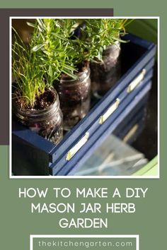 I love the idea of creating planters out of what we already have on hand. And mason jars always seem to be in abundance around here, thanks to a few boxes of hand-me-down jars.