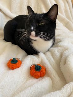 a black and white cat laying on top of a bed next to two small crocheted pumpkins