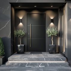 two potted plants are on the steps to a modern entryway with black walls and doors