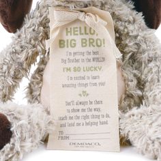 a teddy bear with a tag that says hello, big broi on it's chest