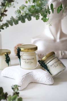 three candles sitting on top of a white napkin next to a potted green plant