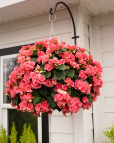 a hanging basket filled with pink flowers in front of a white house on a sunny day