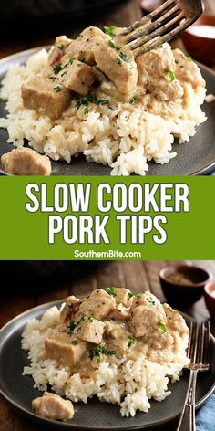 slow cooker pork tips on a plate with rice