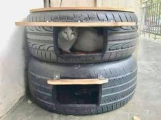 a cat is sitting in the middle of two tires