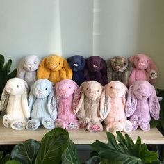 a group of stuffed animals sitting on top of a wooden shelf next to green plants