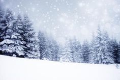 a snowy landscape with pine trees and snow flakes