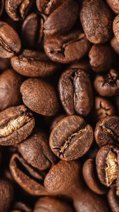 roasted coffee beans are shown in this close up shot, with the grains still on them