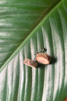 Simple wooden stud earrings that display the annual growth rings of a tree. Made from locally sourced pine. Nature-inspired Natural Wood Earrings For Gift, Nature-inspired Natural Wood Earrings As Gift, Natural Wood Nature-inspired Jewelry, Boston Ma, A Tree, Boston, Stud Earrings