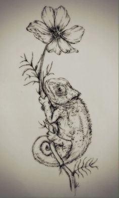 a drawing of a chamelon on a branch with a flower in its mouth