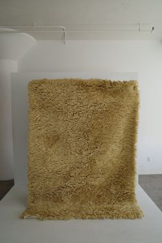 an area rug is placed on the floor in front of a white wall and ceiling