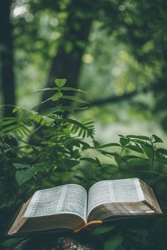 an open book sitting on top of a tree stump in the forest next to green leaves