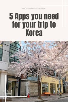 the words 5 apps you need for your trip to korea in front of a tree