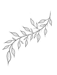 a black and white drawing of leaves on a branch