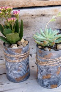 three tin can planters with succulents in them