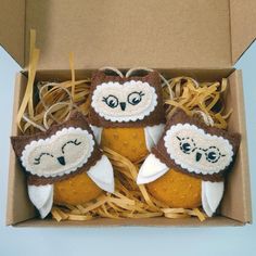 three stuffed owls in a cardboard box