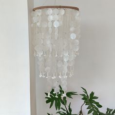 a white chandelier hanging from the ceiling next to a potted plant on a table