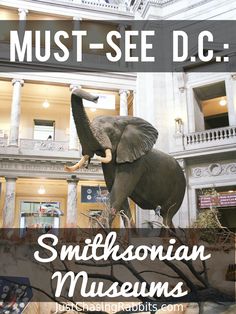 an elephant statue with the words must see d c smithsonian museum in front of it