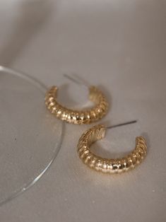 We've got a major crush on the Snake Chain Hoops because who wouldn't? A pair of gold hoops with a texture that resembles snake scales for a truly unique look. 22mm x 4mm x 6mm 5.45 grams per earring Gold plated over brass Water resistant Tarnish resistant Posts are made from surgical steel so they are very hypo-allergenic for sensitive ears Earrings are 100% nickel-free and cadmium-free ﻿by LUV AJ Textured Metal Hoop Earrings For Gift, Textured Small Hoop Metal Jewelry, Hoop Earrings Aesthetic, Snake Scales, Sensitive Ears Earrings, Gold Snake Chain, Silver Sunglasses, Small Gold Hoops, Earrings Aesthetic