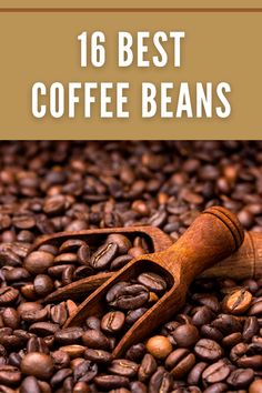 coffee beans with cinnamon on top and the words, 16 best coffee beans