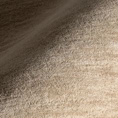 a cat laying on top of a carpet covered floor