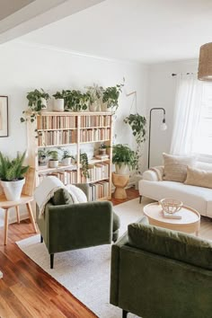 a living room filled with furniture and lots of plants on the wall behind it's bookshelf