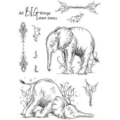 an elephant and its baby are depicted in this hand drawn illustration, with the words'all things start small '