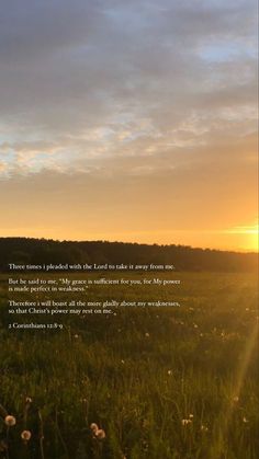 the sun is setting over an open field with grass and flowers in front of it