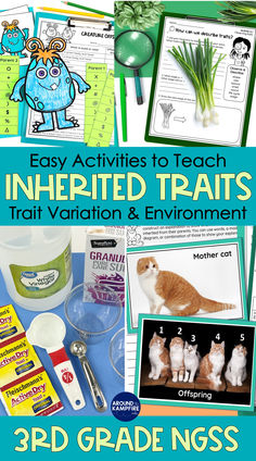 Inherited traits science experiments for third grade. Inherited Traits Anchor Chart, Third Grade Science Experiments, Third Grade Science Projects, 3rd Grade Science Projects, Third Grade Science Activities