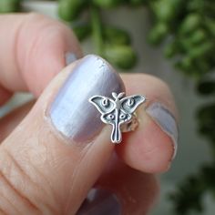 This is a cute pair of sterling silver luna moth earrings. . The earrings measure 9mm and come with a sterling silver earring back. Moth Earrings, Luna Moth, Silver Earring, Earring Backs, Moth, Sterling Silver Earrings, Silver Earrings, Silver Rings, Stud Earrings