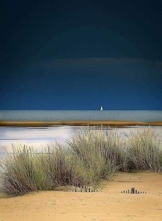 the grass is growing out of the sand by the water's edge with a sailboat in the distance