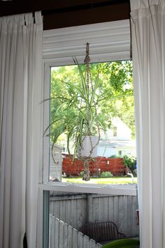 a potted plant sitting on top of a window sill