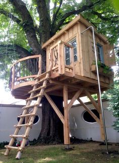 a tree house built into the side of a tree