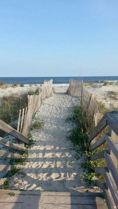 a wooden walkway leading to the beach with grass growing between it and sand dunes on either side