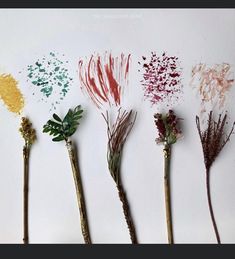 five different types of flowers are arranged in a row on a white surface with colored ink