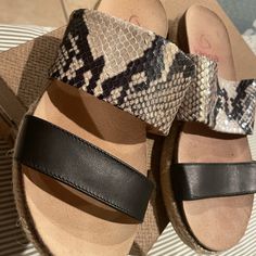 Sandal’s Snake/Black New Summer Open Toe Sandals With Snake Print, Leather Open Toe Sandals With Snake Print, Leather Snake Print Open Toe Sandals, Black Snake Print Heels With Round Toe, Snake Sandals, Beige Espadrilles, Cross Shoes, Snake Black, Tan Espadrilles