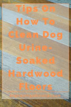 the words tips on how to clean dog urine soaked hardwood floors