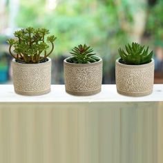 three potted plants sitting on top of a window sill next to each other