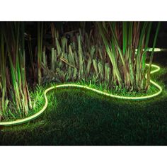 an illuminated garden path in the grass with green plants growing out of it's sides